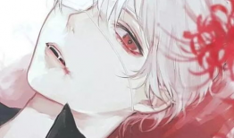 男生喜欢看的动漫,揭秘男生心中的动漫世界